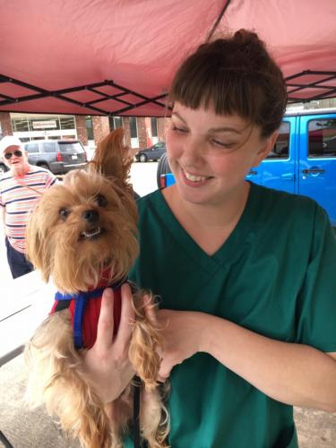 Amber and Yorkie