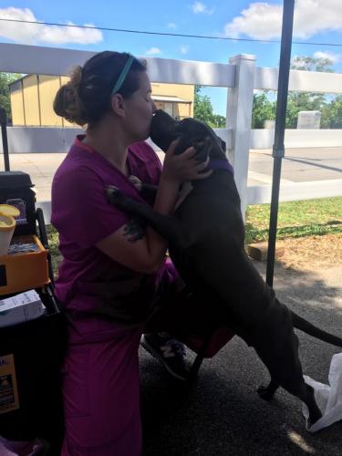 Amber kissing Pit